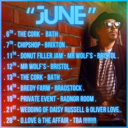 Asian Hawk at Chip Shop BXTN on Saturday 7th June 2025
