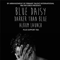 Blue Daisy at Birthdays on Wednesday 23rd September 2015