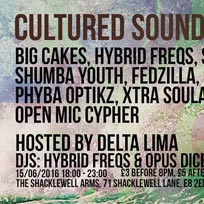 Cultured Sounds Live at The Shacklewell Arms on Wednesday 15th June 2016