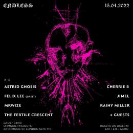 Endless at Ormside Projects on Friday 15th April 2022