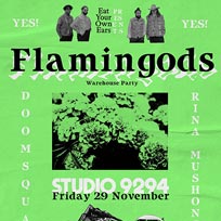 Flamingods at Studio 9294 on Friday 29th November 2019