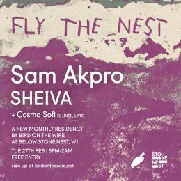 Fly the Nest at Below Stone Nest on Tuesday 27th February 2024