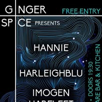 Harleighblu at Hoxton Square Bar & Kitchen on Wednesday 6th March 2019