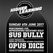 Higher Learning at The Birds Nest on Sunday 4th June 2017