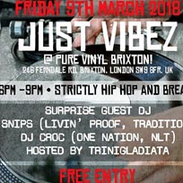 Just Vibez at Pure Vinyl on Friday 9th March 2018