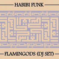 Night Thing w/ Habibi Funk + Flamingods at Jazz Cafe on Friday 9th March 2018