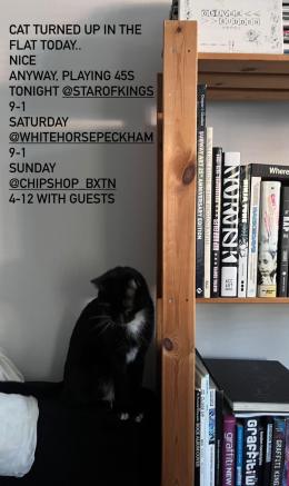 Oliver Sudden at Chip Shop BXTN on Sunday 13th October 2024