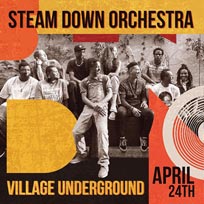 The Steam Down Orchestra at Village Underground on Wednesday 24th April 2019