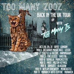 Too Many Zooz at XOYO on Friday 29th October 2021