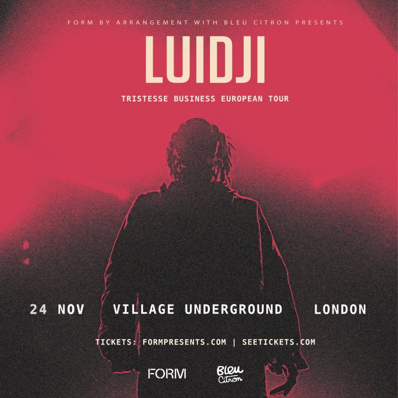 LUIDJI at Village Underground on Fri 24th November 2023 Flyer